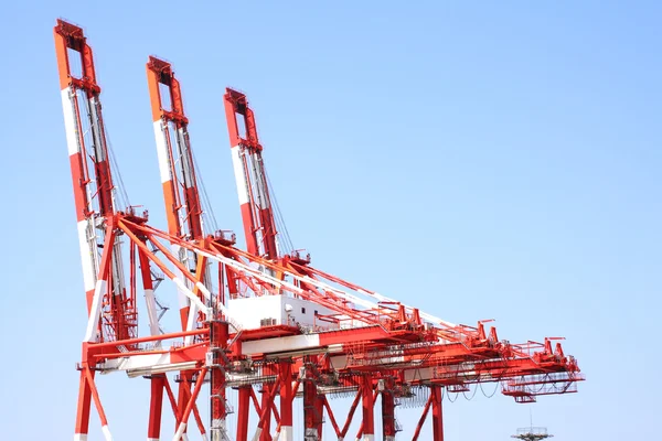 Port Cargo Cranes — Stock Photo, Image