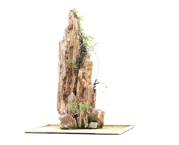 stock image Rockery Bonsai