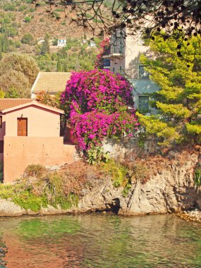 sahil köyü assos, kefalonia, Yunanistan