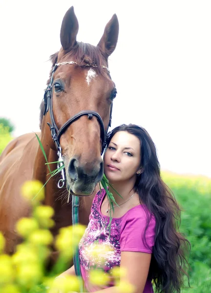 Retrato de hermoso caballo castaño con su dueño —  Fotos de Stock