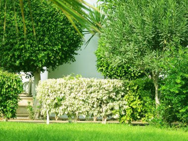 Hotel outdoor landscape, Cyprus clipart