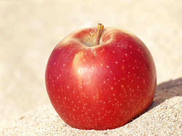 Delisious κόκκινο μήλο στην άμμο — Φωτογραφία Αρχείου