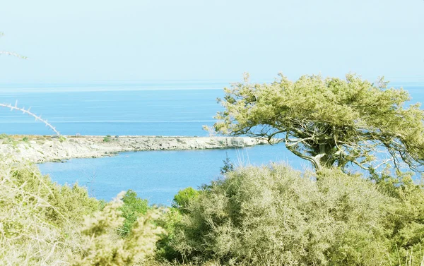 Cipru plaja lazure — Fotografie, imagine de stoc