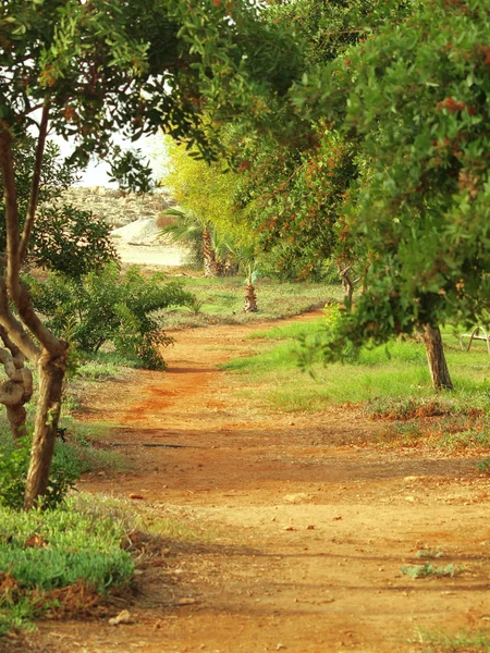 stock image Rural Mediterranean landscape, Cyprus