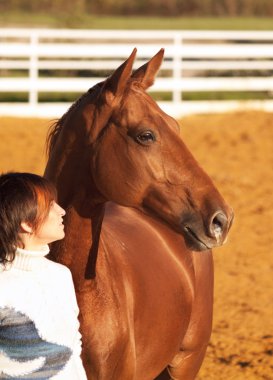 Portraits of red horse with his rider clipart