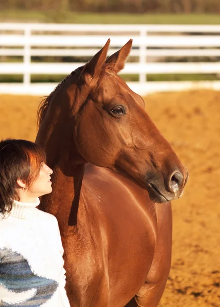 Retratos de caballo rojo con su jinete — Foto de Stock