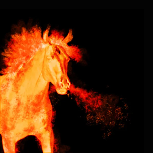 Brennendes laufendes Pferd isoliert auf schwarz — Stockfoto