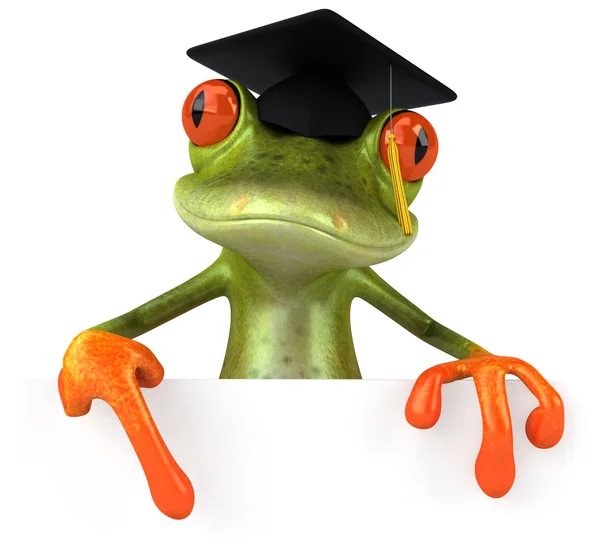Frog student — Stock Photo, Image