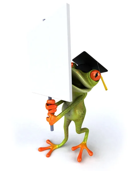 개구리 학생 — 스톡 사진