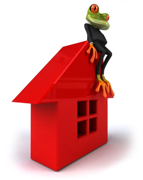 青蛙和房子 — 图库照片
