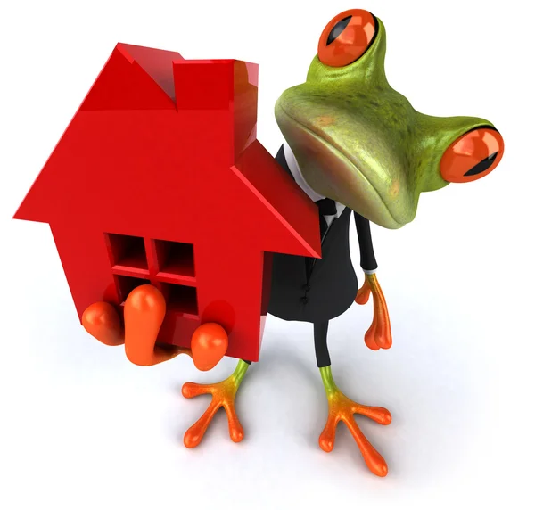 Frog and house — Stock Photo, Image