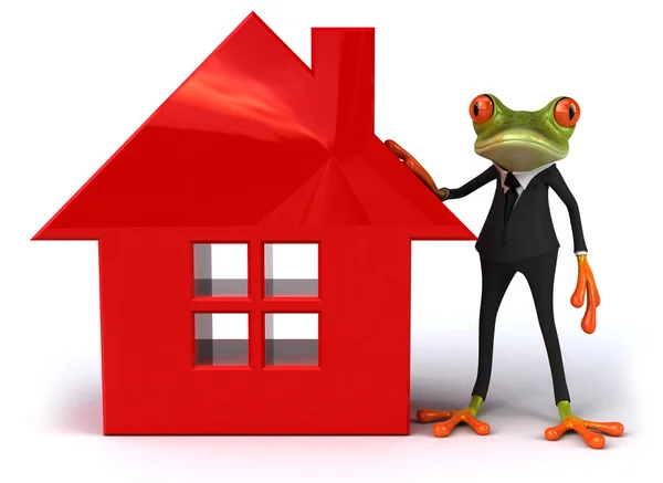 Frosch und Haus — Stockfoto