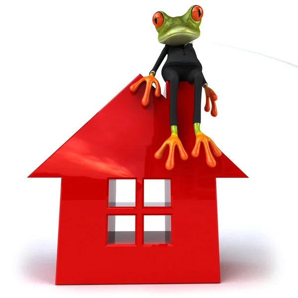 Frosch und Haus — Stockfoto