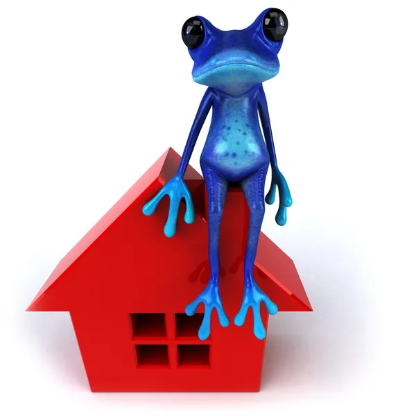 Μπλε βάτραχος με κόκκινο σπίτι — Φωτογραφία Αρχείου
