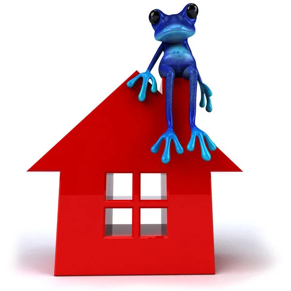 Blauer Frosch mit rotem Haus — Stockfoto