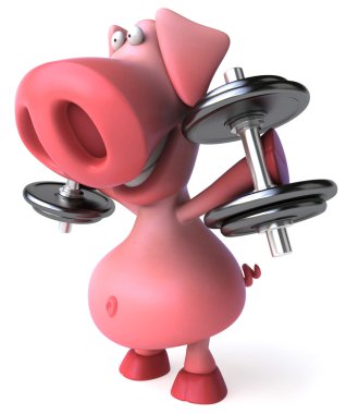 eğlenceli domuz ve ağırlıkları