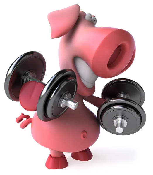 Fun pig and weights — Stock Photo, Image