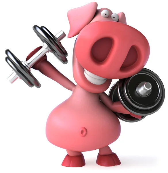 Spaßschwein und Gewichte — Stockfoto
