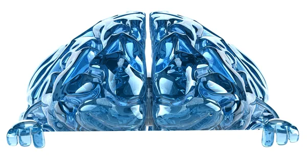 Brain illustration — Stock Photo, Image