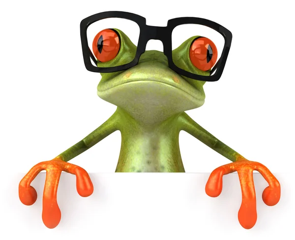Żaba w okularach — Zdjęcie stockowe