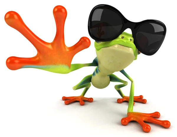 선글라스와 개구리 — 스톡 사진