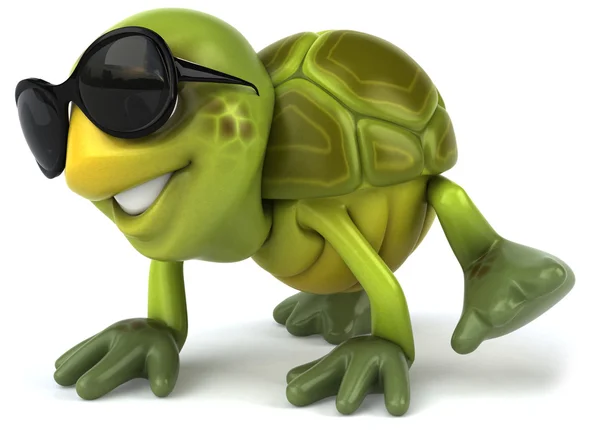 Cool schildpad — Stockfoto