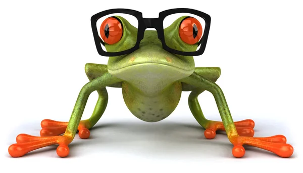 개구리 및 안경 — 스톡 사진