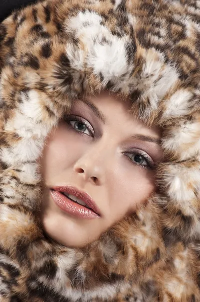Fur around the face — Stock Photo, Image