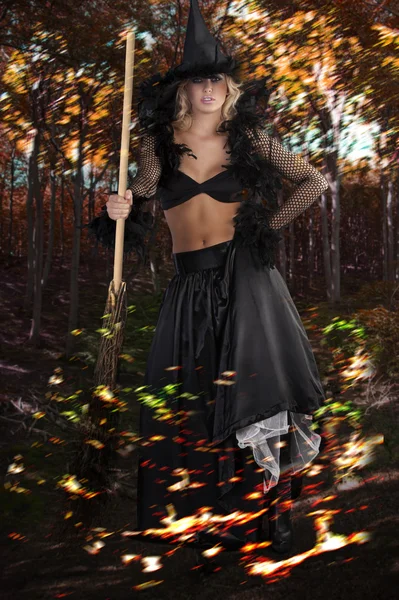 A bruxa de Halloween escura — Fotografia de Stock