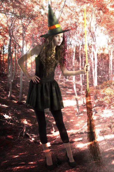 Bonita y linda bruja con escoba dentro de un bosque — Foto de Stock