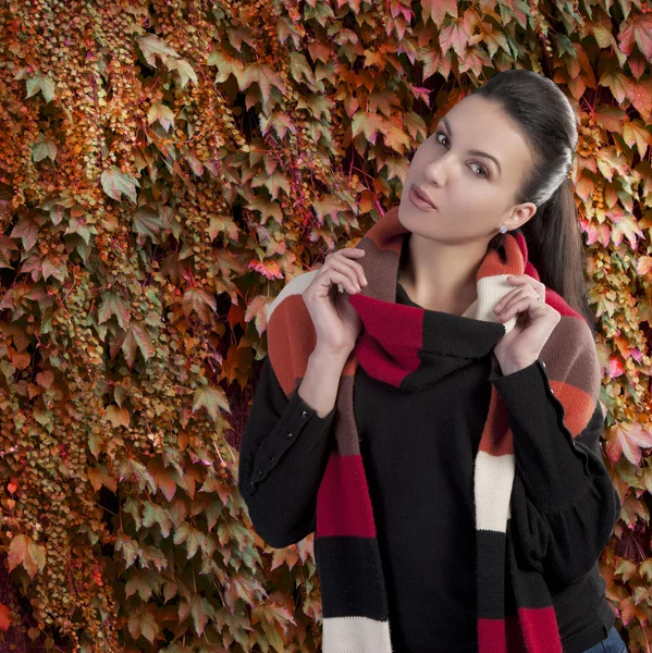 Dame im Herbst-Pullover — Stockfoto