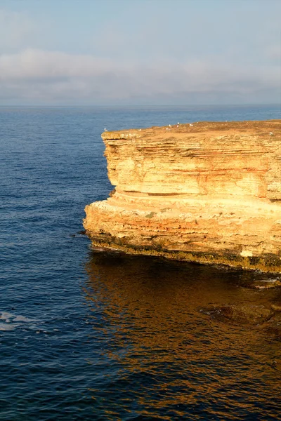Kayalık uçurum, Karadeniz kıyısına — Stok fotoğraf