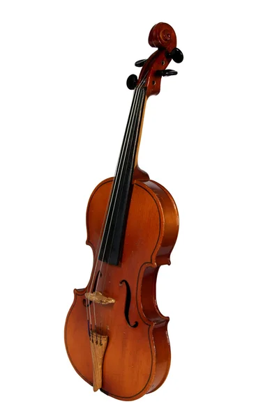 Скрипка, изолированная на белом фоне — стоковое фото