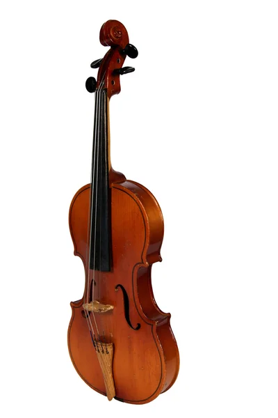 Violino, isolato su fondo bianco — Foto Stock
