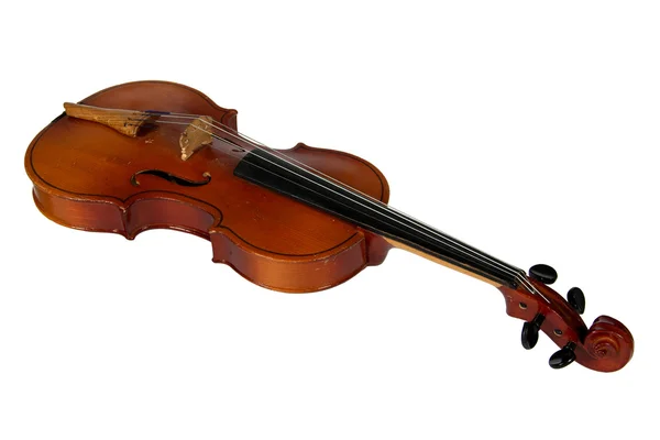 Скрипка, изолированная на белом фоне — стоковое фото