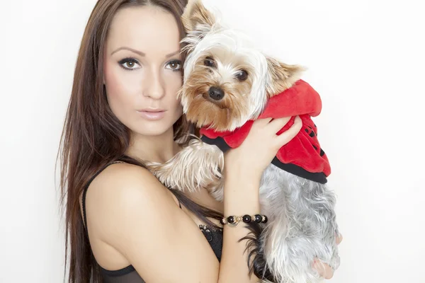 Flicka med söta yorkshire terrier hund — Stockfoto