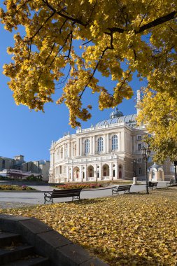 Odessa 'daki opera binası..