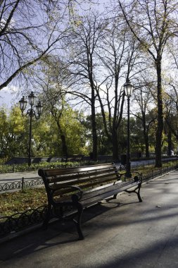 bir sonbahar parkında asırlık bir tezgah olduğunu.