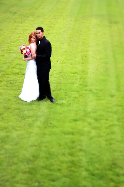 Bride and Groom on Grass — Stock Photo, Image