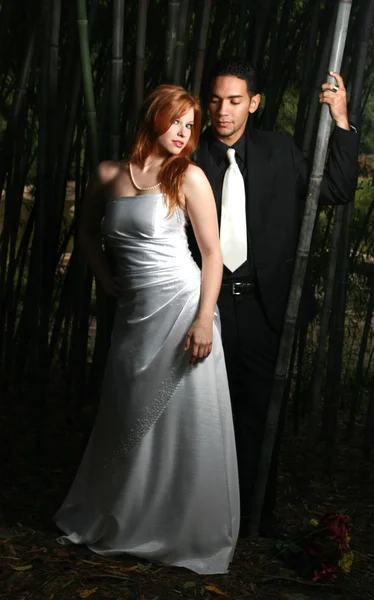 Sexy dvojice stojící v lese bambusu — Stock fotografie