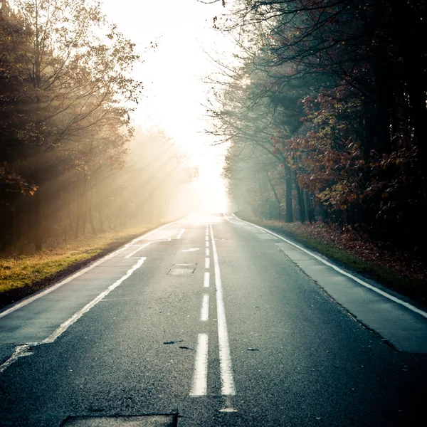 stock image Road in to the mist