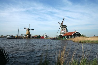Hollanda yel değirmenleri zaanse Schans'a