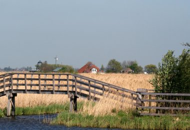 Zaanse Schans'a