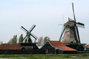 Hollanda yel değirmenleri zaanse Schans'a