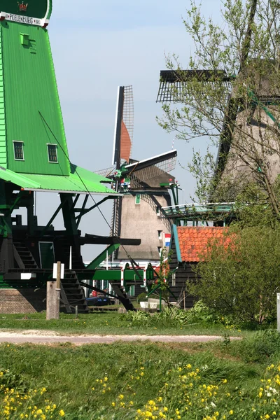 Molinos de viento holandeses en Zaanse Schans — Foto de Stock