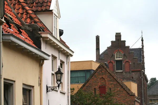 Vista sobre Zutphen — Fotografia de Stock