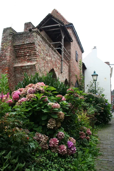 Stock image View on Zutphen