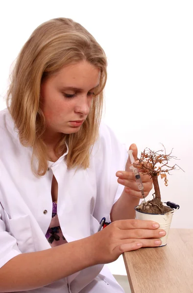 Jonge vrouwelijke laboratorium werknemer testen dode bonsai boom — Stockfoto