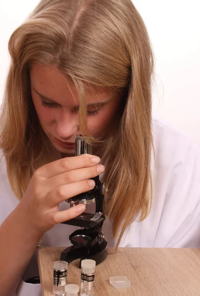 Unga kvinnliga laboratorium arbetstagare undersöker en död bonsaiträd — Stockfoto