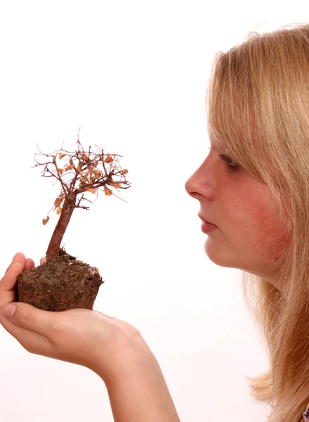 Jovem fêmea olhando para uma árvore bonsai morta — Fotografia de Stock